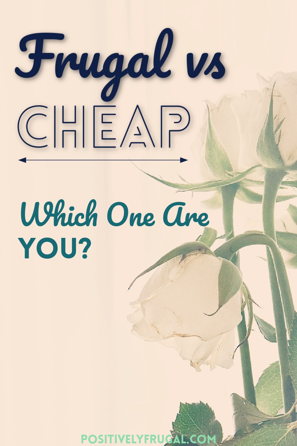 Frugal vs Cheap Which One Are You by PositivelyFrugal.com